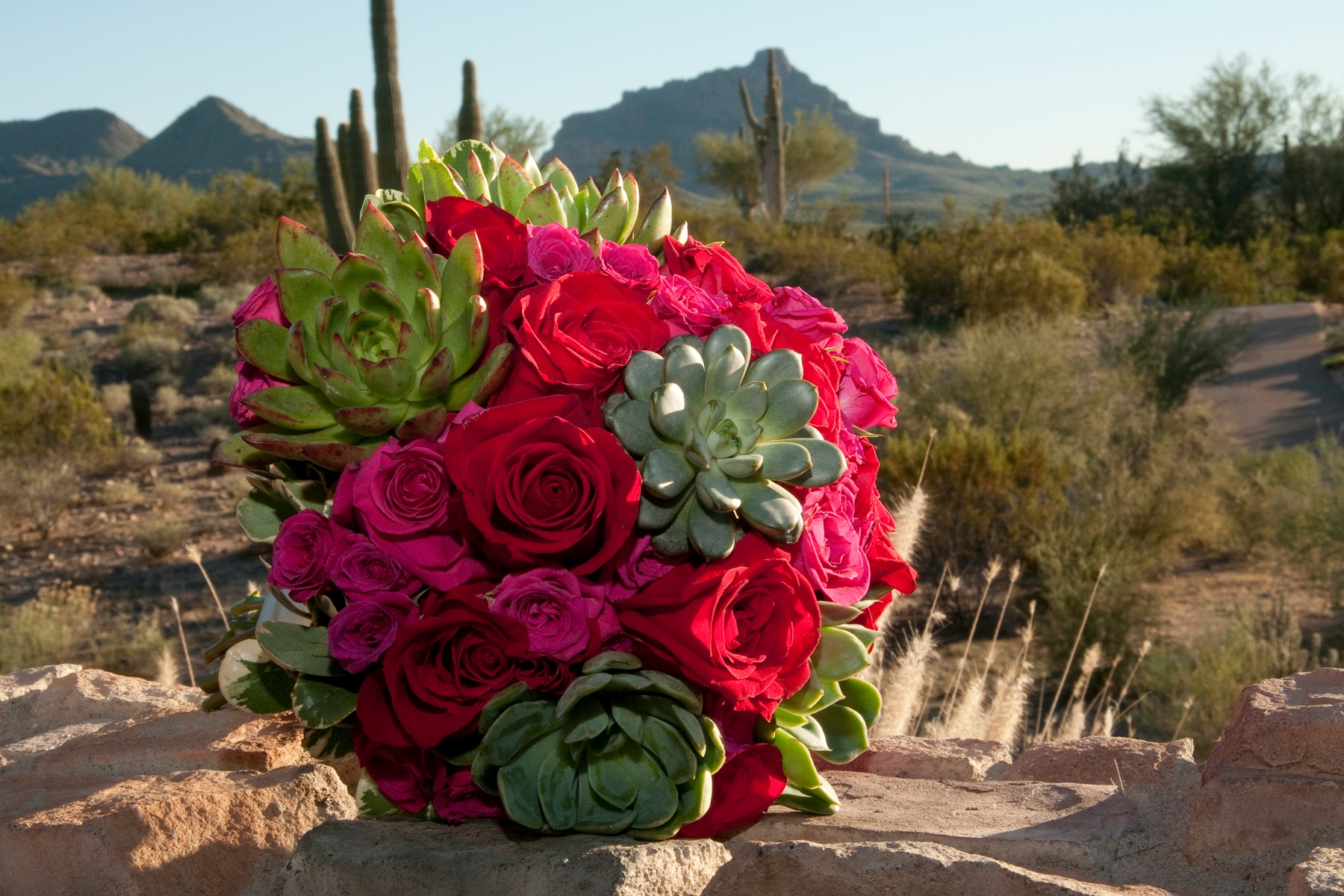 Sign Up For Special Offers